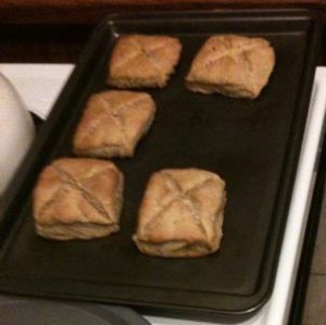 Lembas Bread, unwrapped.