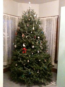 The best Christmas tree. We got a spectacular one this year.