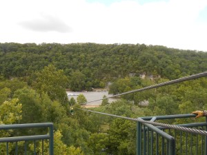 Over the river and over the woods...