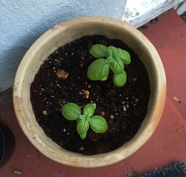 20139656_10209293727876015_7639764962567798351_n