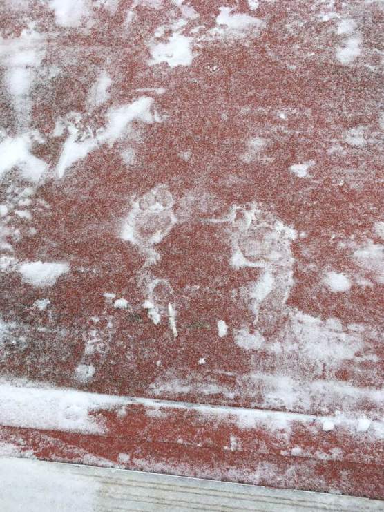 25552261_10210379544300747_3850208686746793875_n