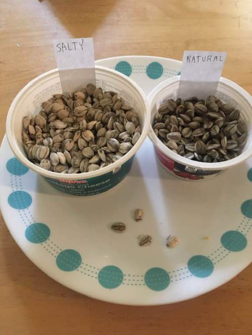 69874269_10214235437535668_6434561278055809024_n