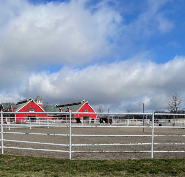 Two large red barn-like structures in background. Horse corral with two clydesdale horses in foreground. Large puffy clouds in sky.