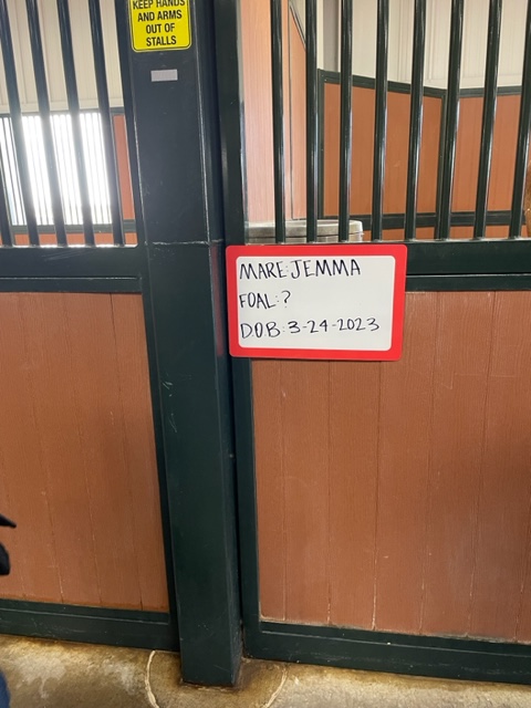 Sign on outside of horse stall with text: Mare: Gemma, Foal: ?, DOB 3-24-2023